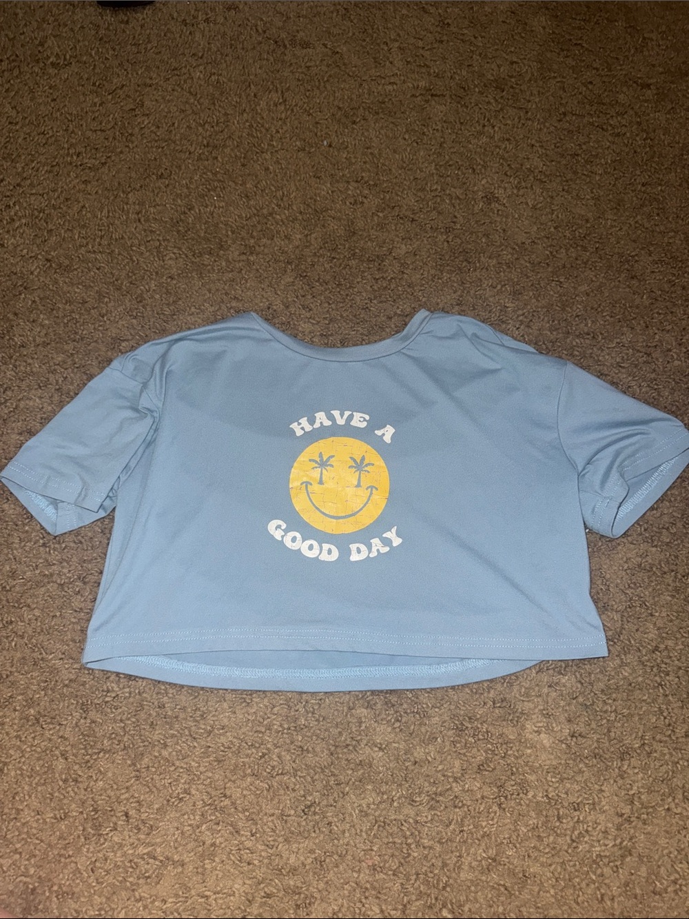Have A Good Day Blue Graphic Crop Tee
